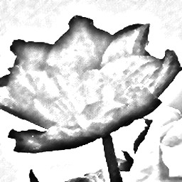 Pencil Sketch 012